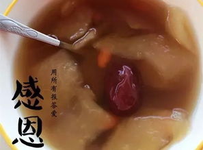 经典与创新：燕窝糖水制作全攻略与精选食谱集锦