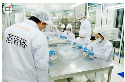 探秘福建：即食燕窝生产重镇与知名代加工厂家一览