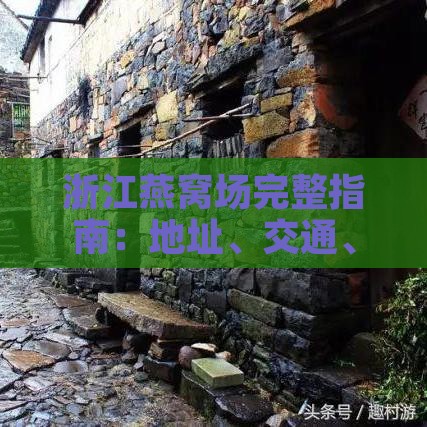 浙江燕窝场完整指南：地址、交通、选购攻略及市场概况