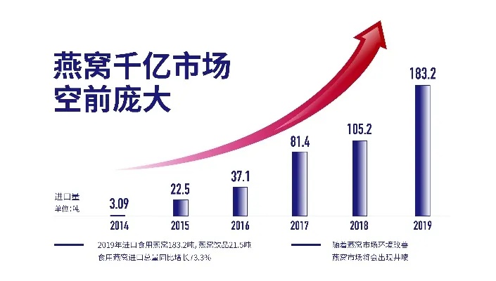 深度解析：燕窝竞争优势与选购要点全攻略