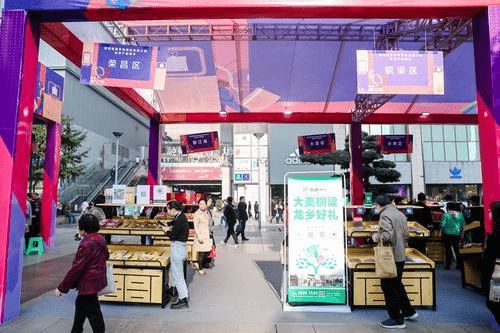 江津地区精选燕窝实体店及线上购买指南