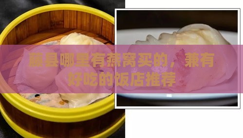 藤县哪里有燕窝买的，兼有好吃的饭店推荐