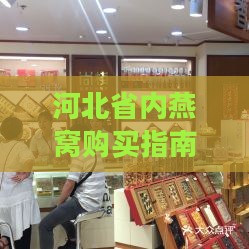 河北省内燕窝购买指南：探寻优质燕窝实体店铺及在线选购渠道