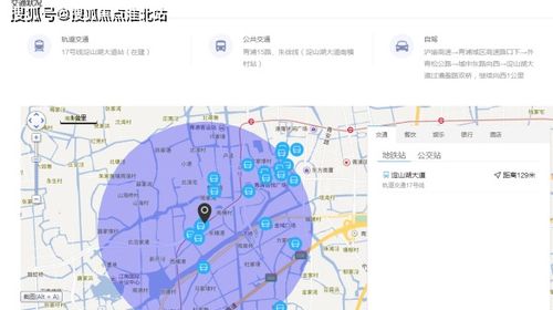 大冶场：位置、热门商品、营业时间一览