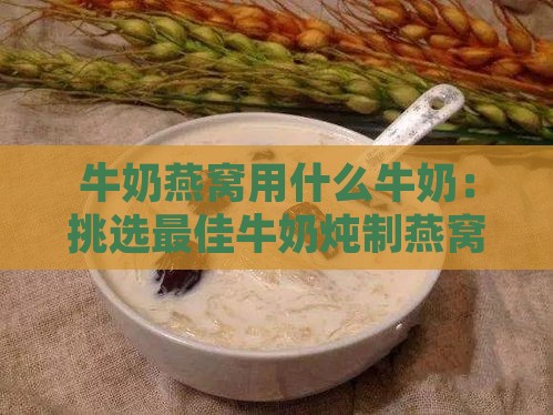 牛奶燕窝用什么牛奶：挑选更佳牛奶炖制燕窝指南