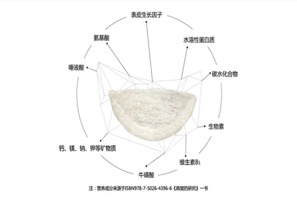 全面解析：燕窝补充胶原蛋白的关键部位及其功效