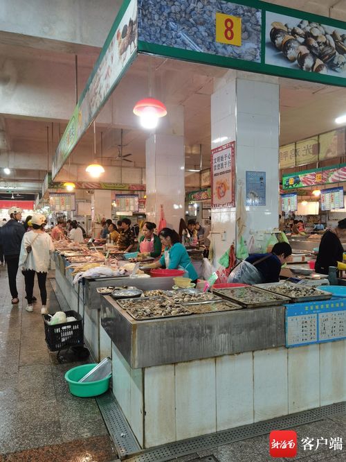 邛崃哪里有卖燕窝的实体店和市场