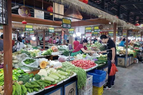 武胜哪里有燕窝场及副食批发地点