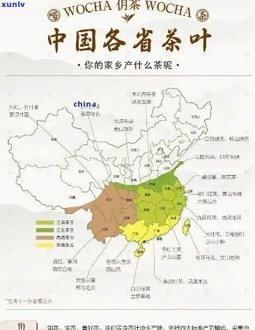 燕窝的生产基地是哪里：全球主要产地一览