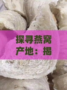 探寻燕窝产地：揭秘全球顶级燕窝生产区域