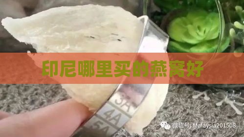 印尼哪里买的燕窝好