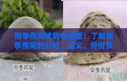 雨季燕窝优势在哪里：了解雨季燕窝的好处、定义、月份及与旱季燕窝价格差异