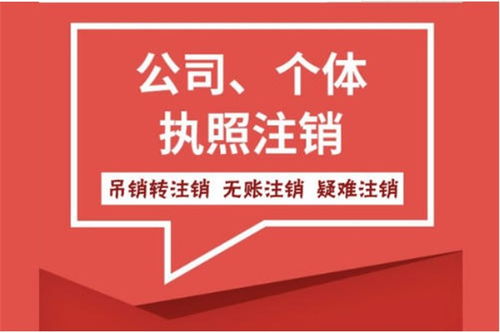 成都燕窝正宗购买指南：探寻信誉商家精选上品燕窝