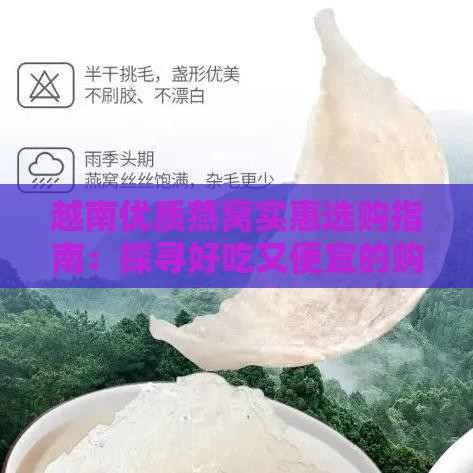 越南优质燕窝实惠选购指南：探寻好吃又便宜的购买地