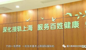 湛江地区综合指南：探寻实体店购买优质燕窝的全方位信息