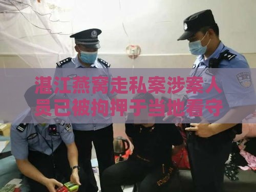 湛江燕窝走私案涉案人员已被拘押于当地看守所