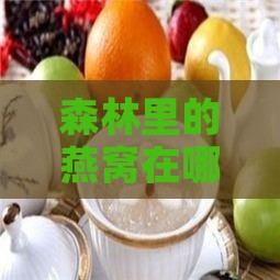 森林里的燕窝在哪里买：正品纯燕窝加盟及森林锅具选购指南