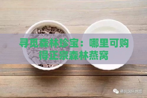 寻觅森林珍宝：哪里可购得正宗森林燕窝