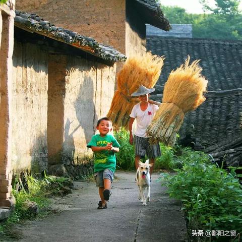 浙江即食燕窝哪里有