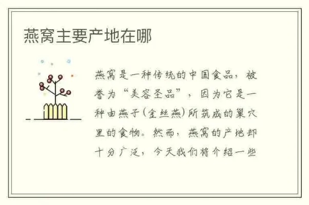 各地区精选燕窝购买指南：哪里买、怎么选，全面解析更佳燕窝购买地