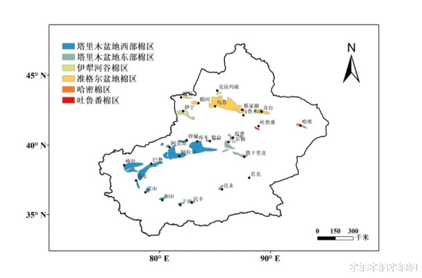 新疆地区是否产出燕窝及其产地分布与特点解析