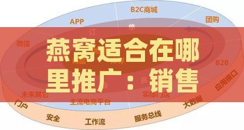 燕窝适合在哪里推广：销售策略与渠道分析