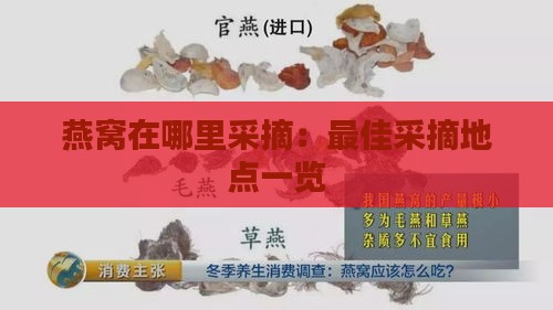 燕窝在哪里采摘：更佳采摘地点一览