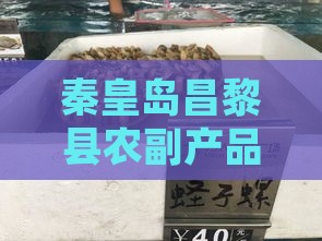 秦皇岛昌黎县农副产品及海鲜场详细地址指南