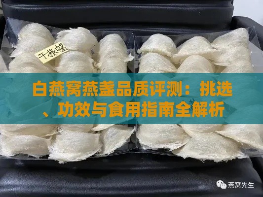 白燕窝燕盏品质评测：挑选、功效与食用指南全解析