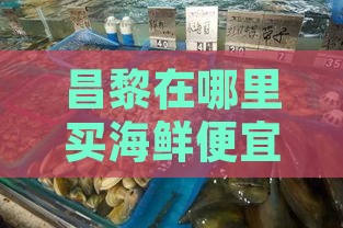 昌黎在哪里买海鲜便宜又好，探秘昌黎最实惠海鲜购买地