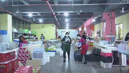 桃源地区燕窝购买指南：线上线下店铺推荐与选购攻略