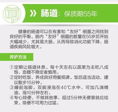 全方位指南：洗净燕窝的正确保存与延长保质期限方法