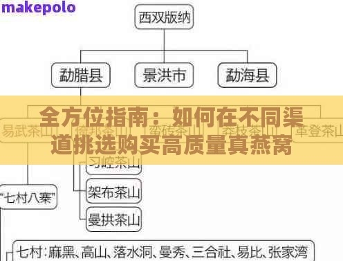 全方位指南：如何在不同渠道挑选购买高质量真燕窝