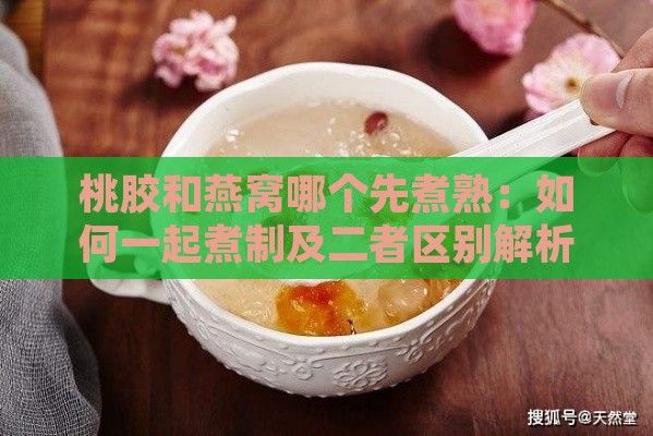 桃胶和燕窝哪个先煮熟：如何一起煮制及二者区别解析