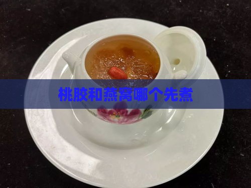 桃胶和燕窝哪个先煮