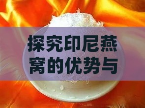 探究印尼燕窝的优势与特点：品质、口感、环保生产全方位解析