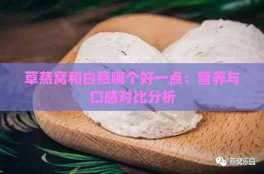 草燕窝和白燕哪个好一点：营养与口感对比分析