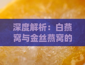 深度解析：白燕窝与金丝燕窝的区别及选购要点全攻略