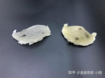 深度解析：白燕窝与金丝燕窝的区别及选购要点全攻略