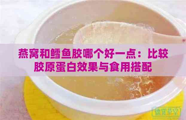 燕窝和鳕鱼胶哪个好一点：比较胶原蛋白效果与食用搭配