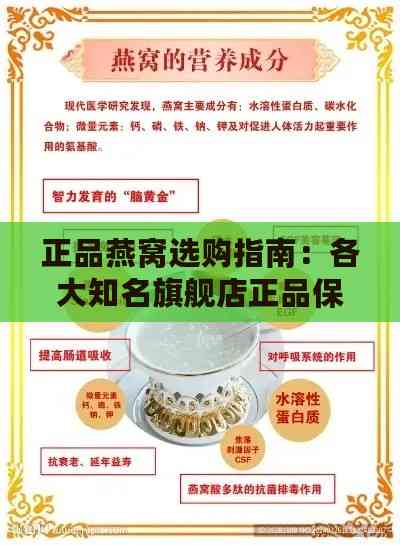 正品燕窝选购指南：各大知名旗舰店正品保障与推荐