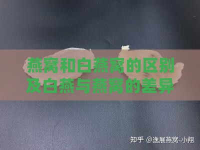 燕窝和白燕窝的区别及白燕与燕窝的差异解析