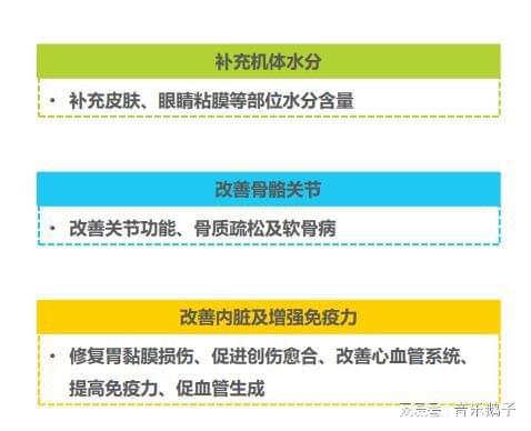 燕窝选购指南：全面解析各优劣与消费者评价