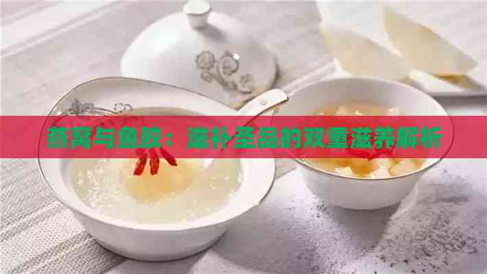 燕窝与鱼胶：滋补圣品的双重滋养解析