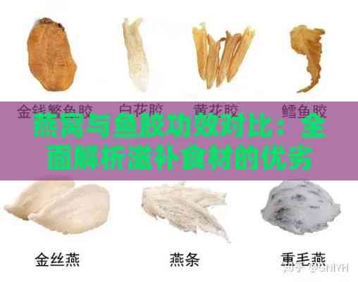 燕窝与鱼胶功效对比：全面解析滋补食材的优劣与适用人群