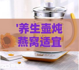 '养生壶炖燕窝适宜火力设定指南：如何选择更佳温度'