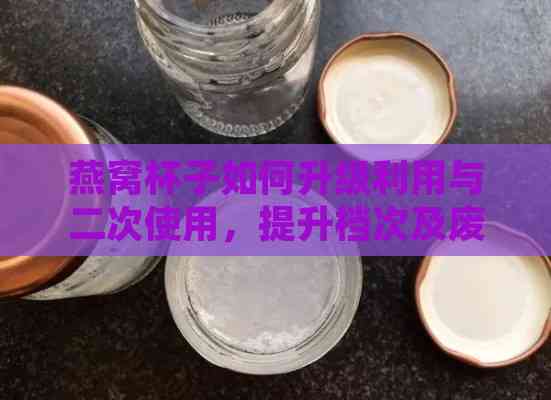 燕窝杯子如何升级利用与二次使用，提升档次及废物变宝指南