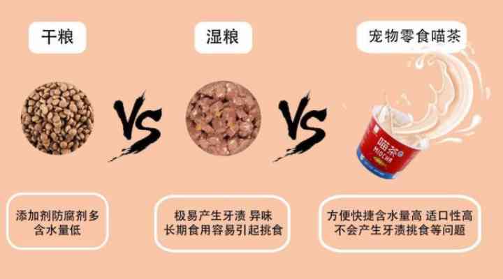 燕窝与猫咖啡风味对比：哪一款饮品更胜一筹？