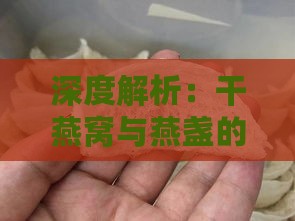 深度解析：干燕窝与燕盏的选购要点、营养价值及烹饪技巧对比