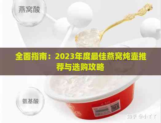 全面指南：2023年度更佳燕窝炖壶推荐与选购攻略